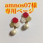 amnos07様専用