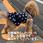年末年始特別価格❕フリースワンピース（M