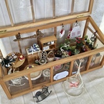 ミニチュア 💐少々難有り。サンルームで遊んじゃおう