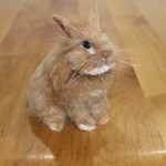 *km00524様リクエスト*ライオンラビットのうさぎさん 羊毛フェルト  オレンジ