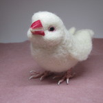羊毛フェルト リアルで可愛い白文鳥 ゆこりん工房 鳥 ハンドメイドマーケット Minne