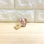 小さな箱に入れてお届け♪ ミニチュアモールバニー モールベア うさぎ