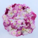再販　466.押し花アソート〜ピンク系　ビオラ　小花　mix 押し花素材