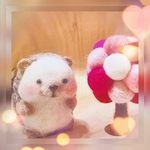 ふとっちょ🦔ハリネズミ