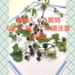 お読みいただきたい・・諸注意事項です
