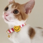 ニコちゃん☺︎首輪＊S~Mサイズ(17~25cmの間で調整が可能です🐾)※サイズ変更承ります...♪*ﾟ