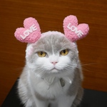 [LOVE] ダブルハート💕 猫用帽子 犬用帽子
