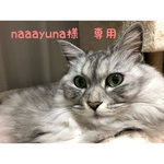【オーダーメイド】うちの子♥*招き猫の貯金箱