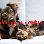 don-mi-chan様専用