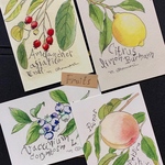 ポストカード４枚セット - Fruits -