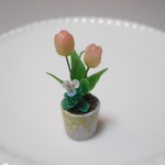 ミニチュア　チューリップとビオラの鉢植え