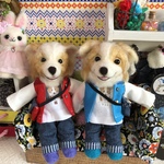 ボーダーコリー(レッド×ホワイト)M様オーダー品
