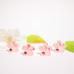 春を先取り 桜色のシルエットピアス (樹脂イヤリングへ変更◎) 