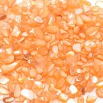 送料無料 100g 染色シェル貝 さざれ石(穴なし) ライトオレンジ 5-7mm(100g) N042