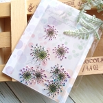 押し花 69　レースフラワー　