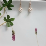 [送料無料]再販＊パールの実ピアス