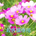 saoriblend様専用です