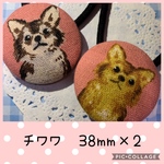 おすましワンちゃん 犬柄 くるみボタン ヘアゴム 38mm×2 チワワ①