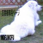 SHIZU 　様　専用ページ