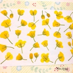 ♡new♡作家様必見♡ ♡可愛い菜の花の押し花セット♡