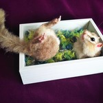 シマリス
