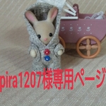 ☆pira様専用ページ☆