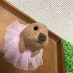ピンクのチュチュなリチャードソンジリス