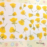 ♡new♡作家様必見♡ ♡可愛い菜の花の押し花セット♡