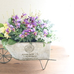 うえたビオラ『フェアリーフェネック』とかわいいお花の寄せ植え* 