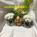 羊毛フェルト　専用ページです