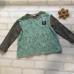 100*ワイドTシャツ(ダイナソー）