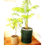 【受注製作】(円筒型) インテリアグリーンの鉢カバー🌱(M size)