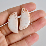 sakura latte［さくらラテ］01