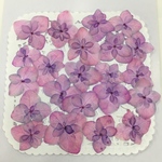  NO.328 藤色ピンクの八重紫陽花／押し花素材