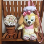 共通ハーネスとショルダーベルトのセット💕クッキー・アン💕