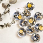 こっそり♡eucalyptus Blue🌼ピアス/イヤリング