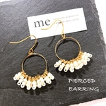 ピアス (イヤリング変更可)no.448