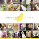 2016年 オカメづくし 卓上カレンダー（オカメインコ）