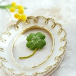 四つ葉のクローバーのブローチ＊グリーン