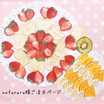 natururu様ご注文ページ 押しフルーツ❁