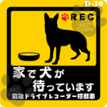 ★チャリティー★ ◆シェパード・大型犬◆家で犬が待っています*Ｄ10