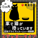   ★チャリティー★ お留守番猫 カーステッカー「家で猫が待っています(ドライブレコーダー搭載車)」約１２cm角