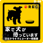★チャリティー★◆シュナウザー・ミニチュアシュナウザー◆家で犬が待っています*Ｄ09