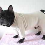 フレンチブルドック服 カバーオール　つなぎ　バニラ