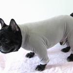 フレンチブルドック服 カバーオール　つなぎ　グレー