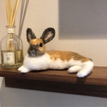 takuyukii様専用ページ