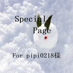 pipi0218様専用ページ