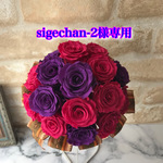 sigechan-2様専用