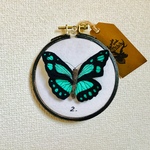 ANIMAL TROPHY Butterfly(S.size)