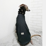フェザーゴールド トップス イタグレ服